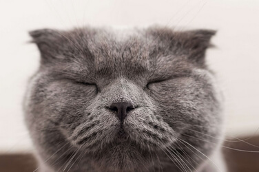 Фото с нашей гостиницы